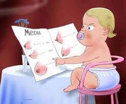 menu-para-bebe