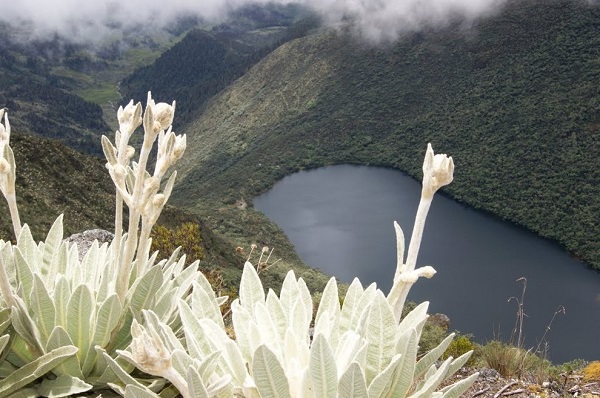 16 laguna negra